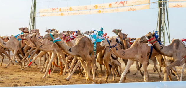 تسجيل الأشواط يبدأ في ميدان الطائف التاريخي